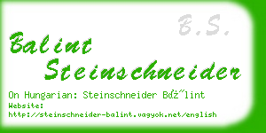 balint steinschneider business card